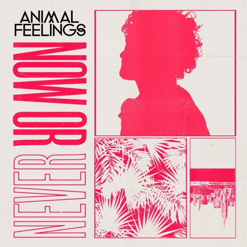 Animal Feelings - Now or Never (artwork faeton music)