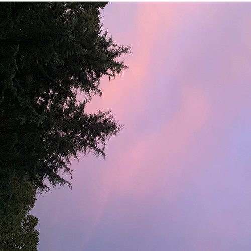 SHANNY - Growing Pains (artwork faeton music)