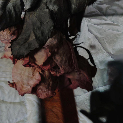 I Shiver - T S O Y<3 W I B (artwork faeton music)