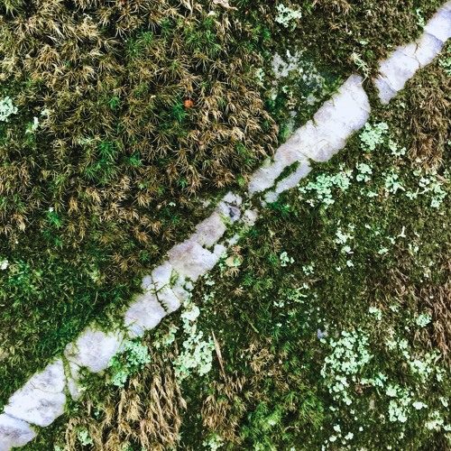 Joshua Worden - The Mountain (artwork faeton music)