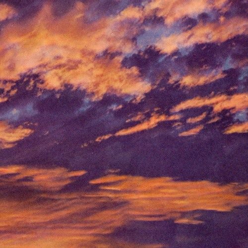 Orchid Mantis - Light Beyond (Right Now) (artwork faeton music)