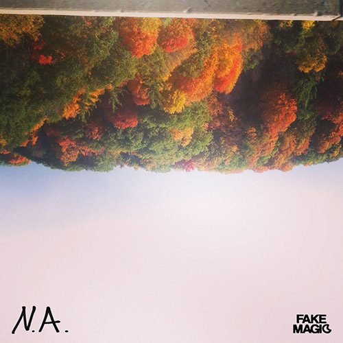 Fake Magic - Always Nice (artwork faeton music)