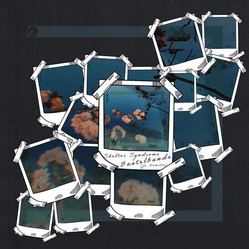 Bastelbande - Shelter Syndrome (feat. Domitie) (artwork faeton music)