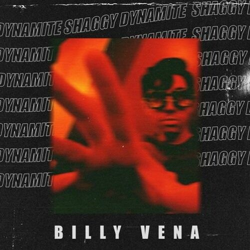 Billy Vena - Shaggy Dynamite (artwork faeton music)