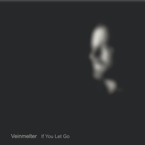 Veinmelter - If You Let Go (artwork faeton music)