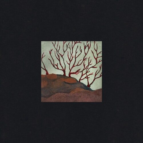 Roos Meijer - I Dream Of A World (artwork faeton music)