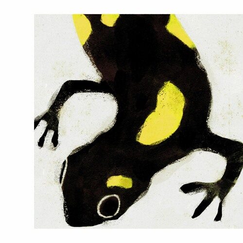 Oribu - Tempest (artwork faeton music)