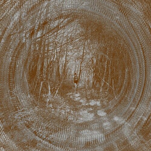 Snowsleep - Hidden Logic (artwork faeton music)