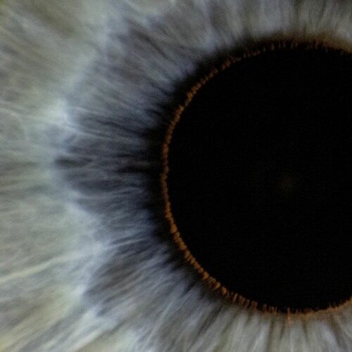 Iris Of The Black Sun - He Who Breaks The Earth (artwork faeton music)