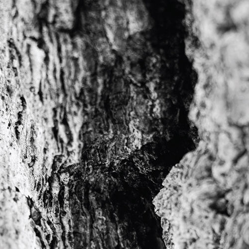 Scarcity - III (artwork faeton music)