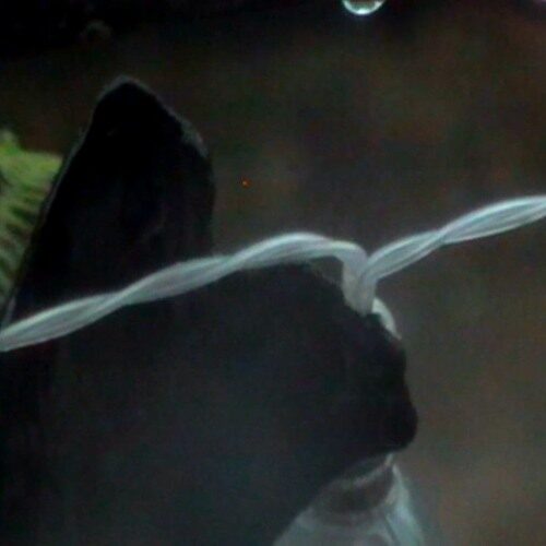 Imaginary Sister - Forces (artwork faeton music)