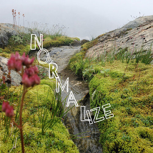 Sean Patton - Normalize (artwork faeton music)