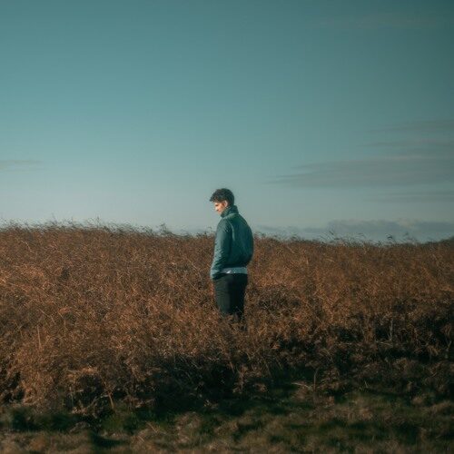 Taylor Latham - No Pressure, No Diamonds (artwork faeton music)