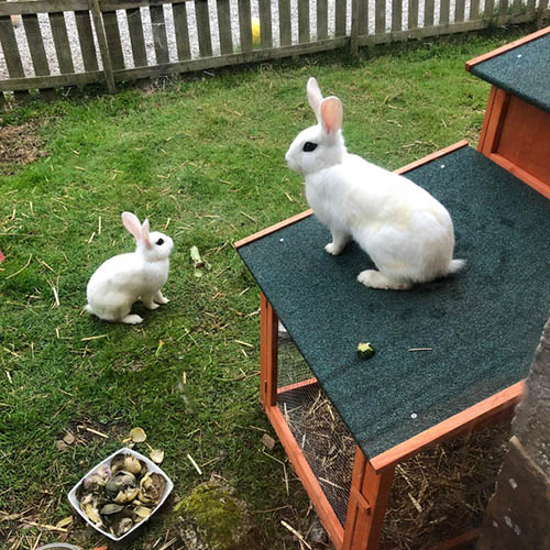 James Sanger - A Newer Doom Shine (artwork faeton music)