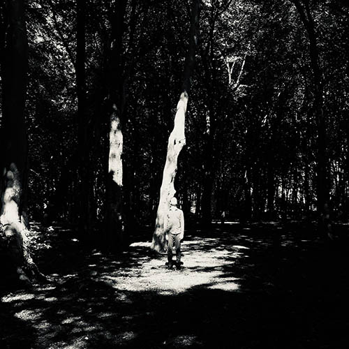 Luke De-Sciscio - Fortress Of Cool (artwork faeton music)