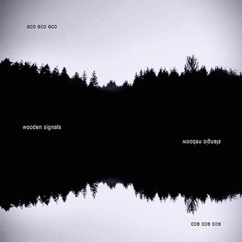 Wooden Signals - for what the future holds (artwork faeton music)