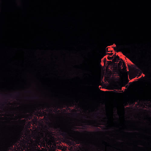 Tendrils - House Of Vultures