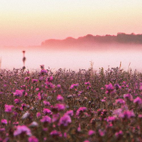 ESTRA & noteaf - Summer Thrills