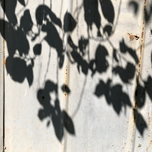 58918012 - 100 minutes of life