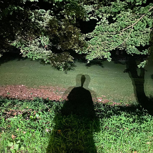 Hayboy - politics here is death