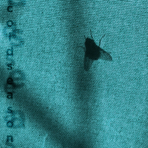 58918012 - Cold Season